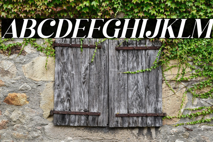 Megasta Signateria Serif Italic Example 2