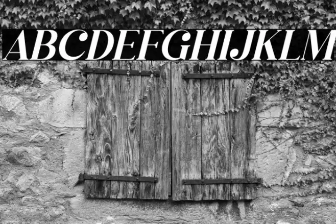 Megasta Signateria Serif Italic Caratteri examples