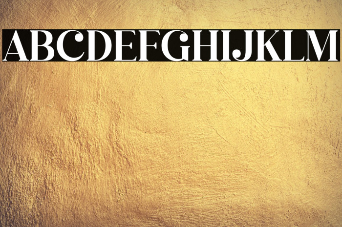 Megasta Signateria Serif Example 1