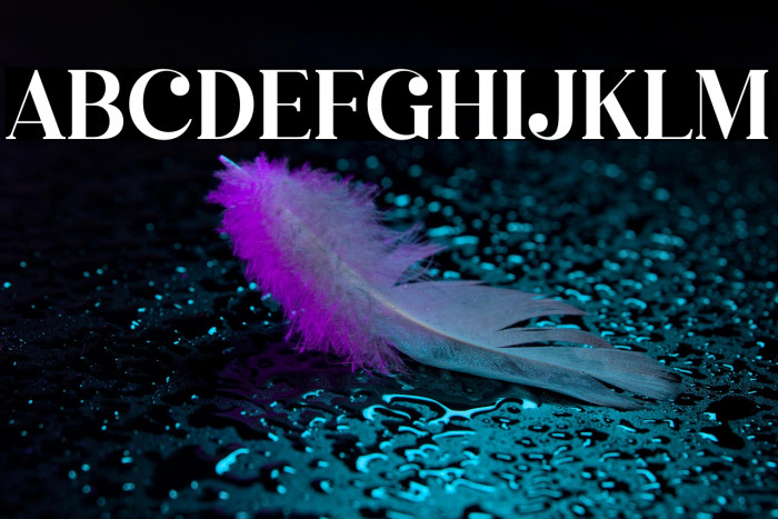 Megasta Signateria Serif Example 3