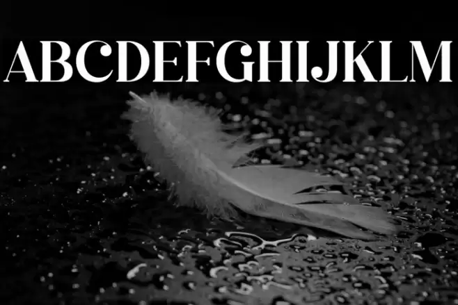 Megasta Signateria Serif Font examples