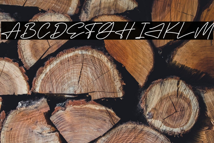 Megasta Signateria Signature Example 1