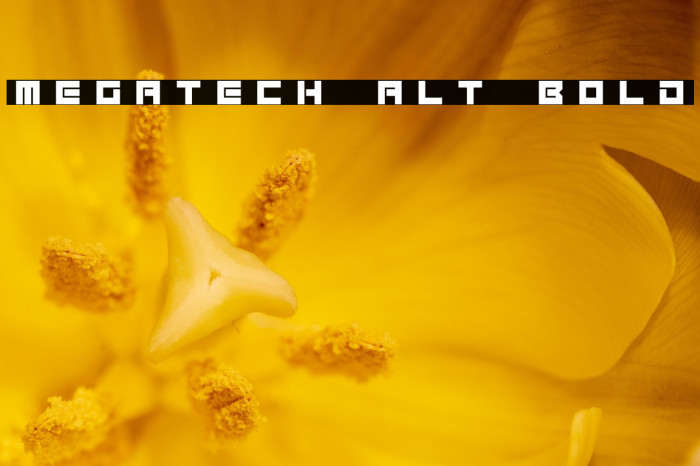 Megatech Alt Bold Example 1