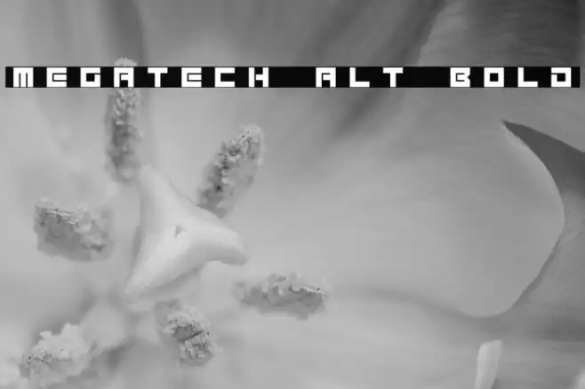 Megatech Alt Bold Example 1