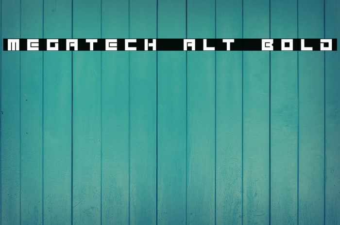 Megatech Alt Bold Example 2