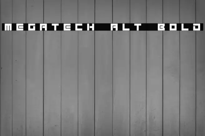 Megatech Alt Bold Example 2