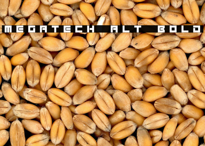 Megatech Alt Bold Example 3