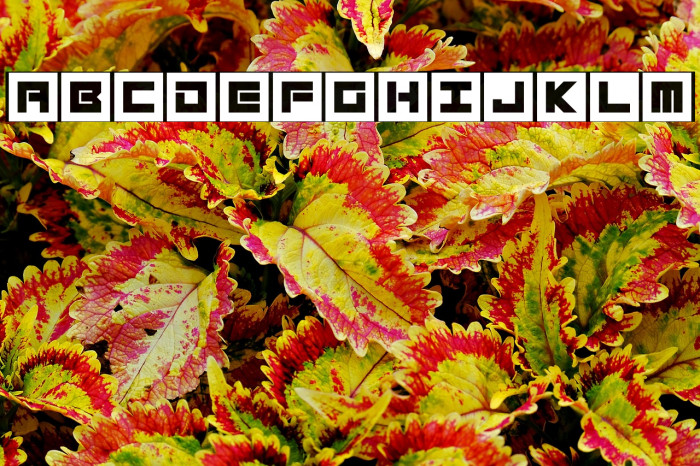 Megatech Alt Example 3