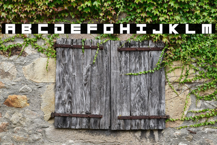 Megatech Bold Example 2