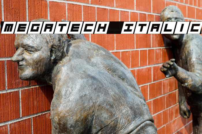Megatech Italic Example 1