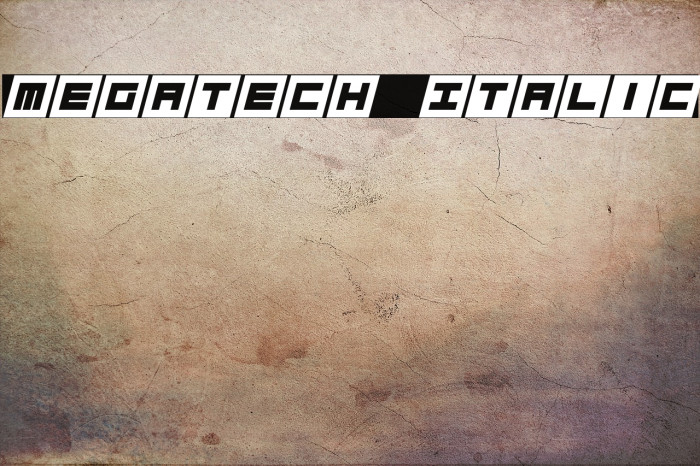 Megatech Italic Example 3
