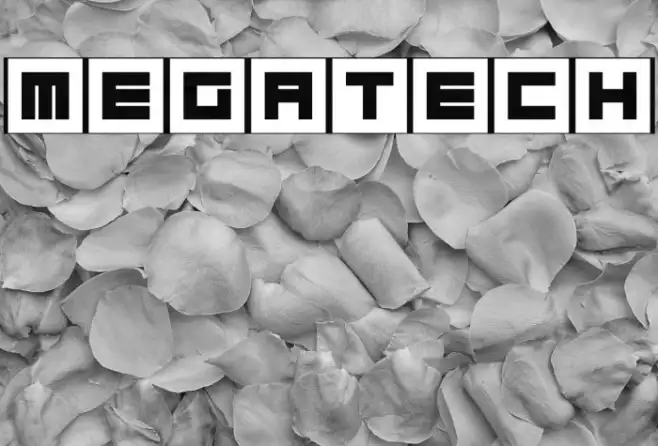Megatech Example 2