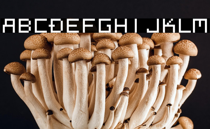 Megaten 20XX Example 1