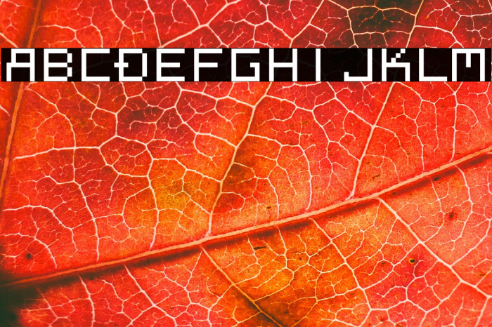 Megaten 20XX Example 2