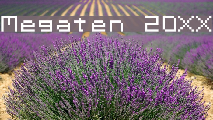 Megaten 20XX Example 2