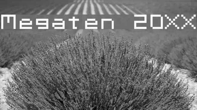 Megaten 20XX Font examples