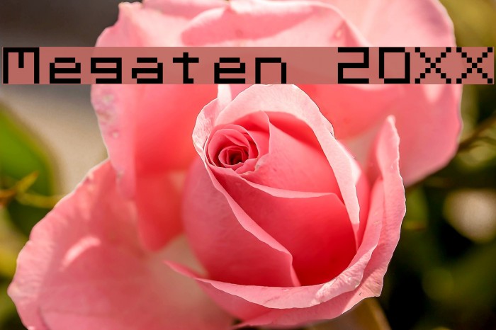 Megaten 20XX Example 3