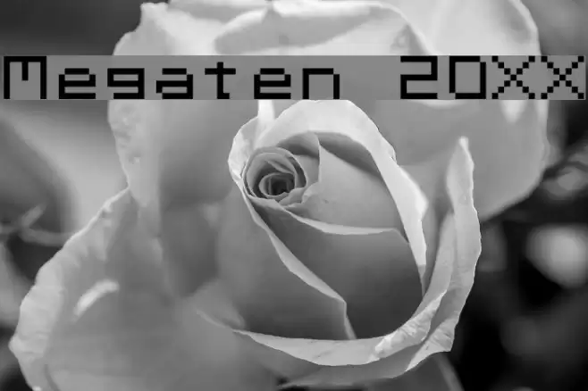 Megaten 20XX Font examples