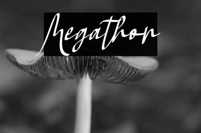 Megathon 字体 examples