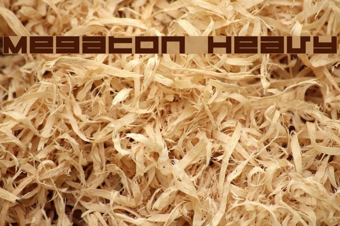 Megaton Heavy Font examples