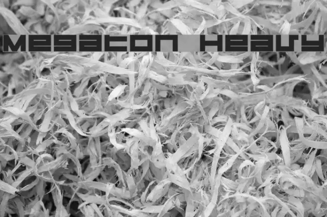 Megaton Heavy Example 1