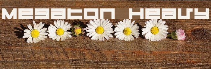 Megaton Heavy Font examples