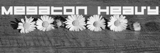 Megaton Heavy Example 2