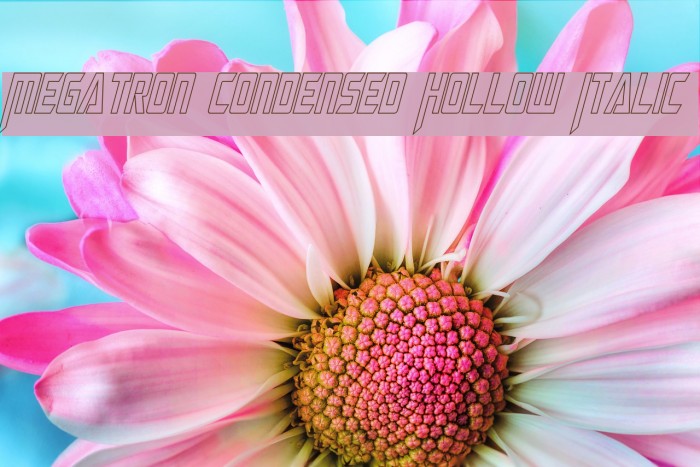 Megatron Condensed Hollow Italic Font examples