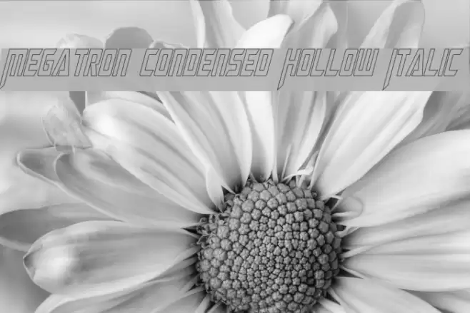 Megatron Condensed Hollow Italic  examples