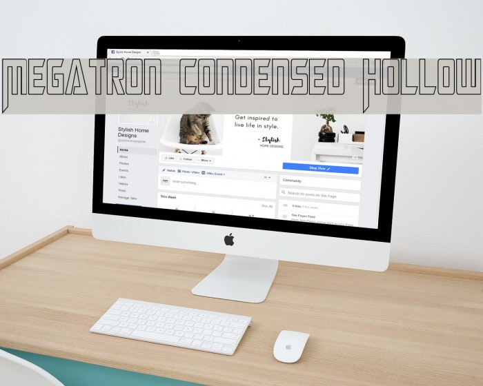 Megatron Condensed Hollow Example 1