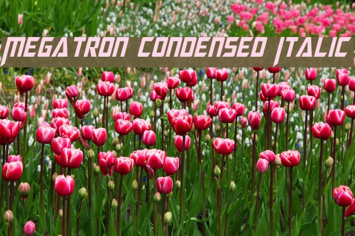 Megatron Condensed Italic Font examples