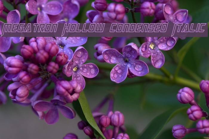 Megatron Hollow Condensed Italic Example 1