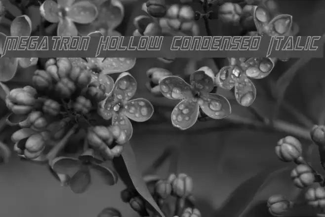 Megatron Hollow Condensed Italic Font examples