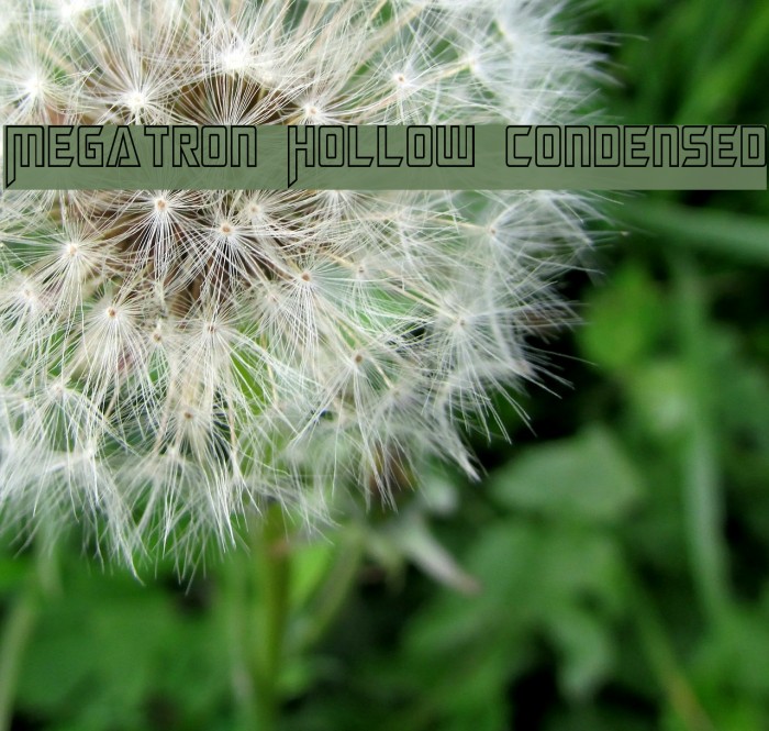 Megatron Hollow Condensed Font examples