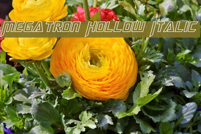 Megatron Hollow Italic Font examples