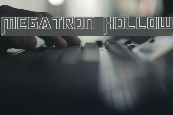Megatron Hollow Example 1