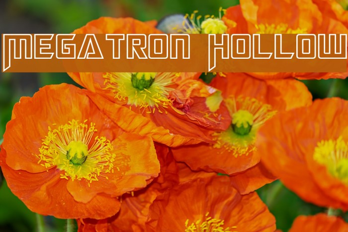 Megatron Hollow Example 3