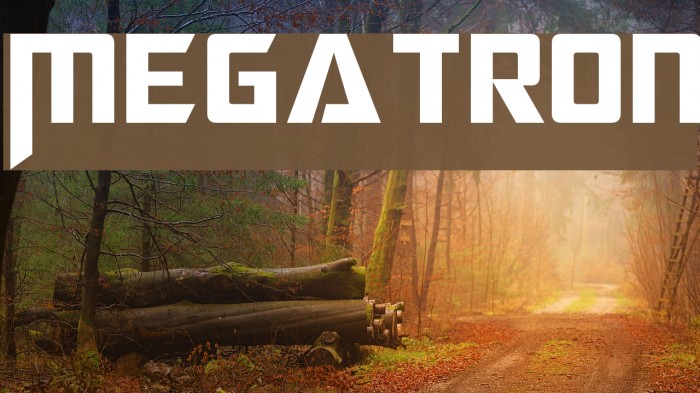 Megatron Font examples