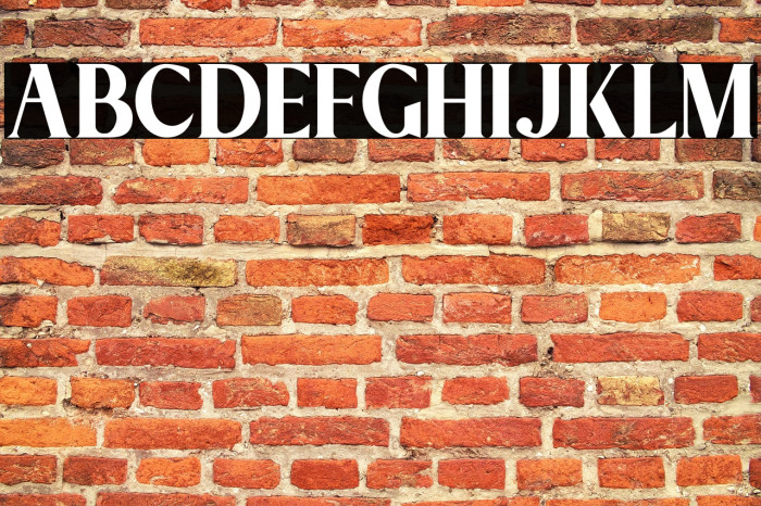 Megatura - Personal Use Example 1