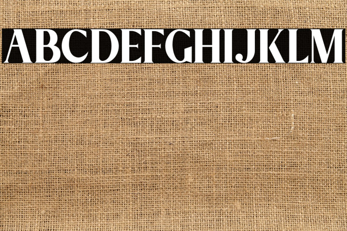 Megatura - Personal Use Example 3