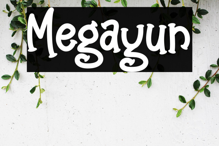 Megayun Example 2