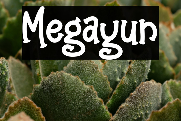 Megayun Example 3