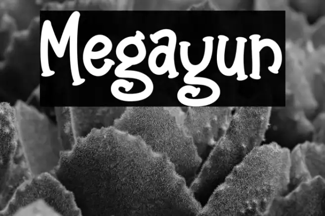 Megayun Example 3