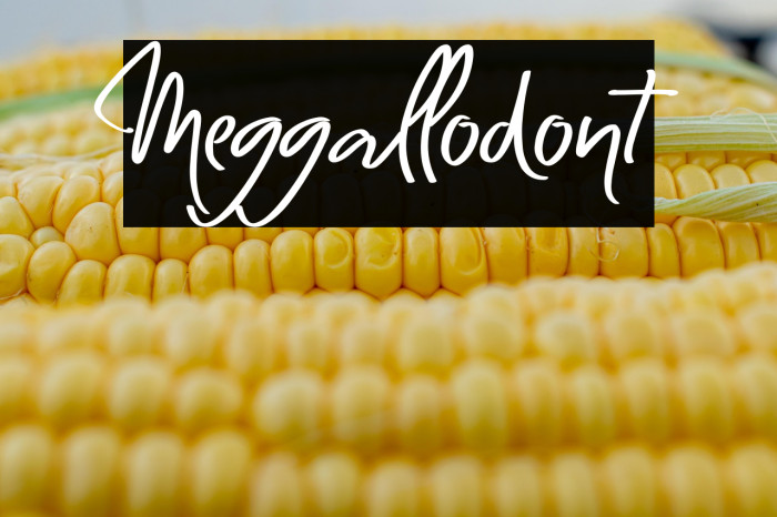 Meggallodont Example 1