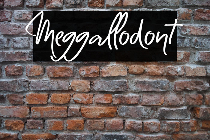 Meggallodont Example 2