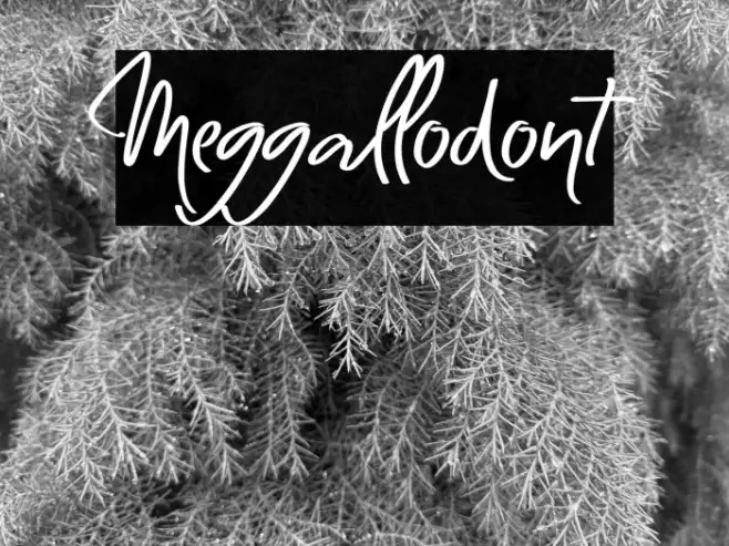 Meggallodont Example 3