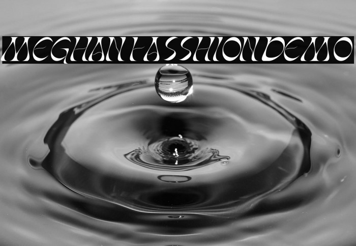 MeghanFasshionDemo Example 1