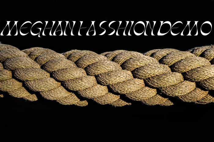 MeghanFasshionDemo Example 2