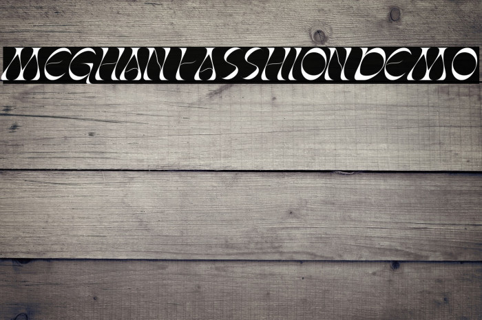 MeghanFasshionDemo Example 3