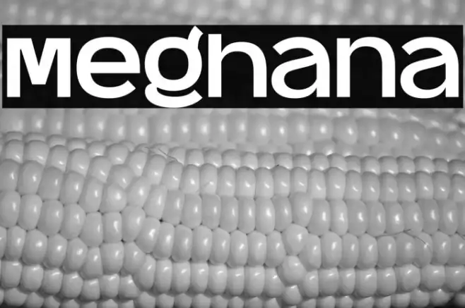 Meghana Example 2
